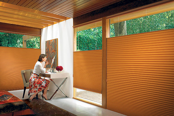 cellular shades