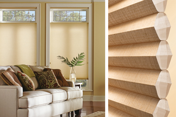 Cellular Shades 2