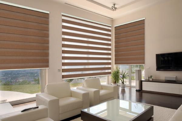 dual roller shades