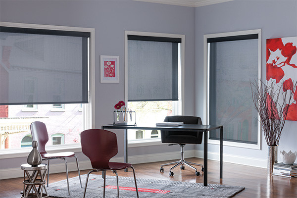 Roller Shades 1